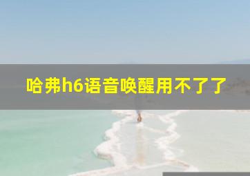 哈弗h6语音唤醒用不了了