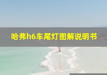 哈弗h6车尾灯图解说明书