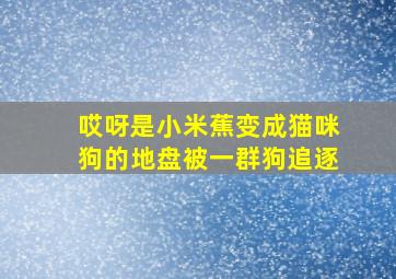 哎呀是小米蕉变成猫咪狗的地盘被一群狗追逐