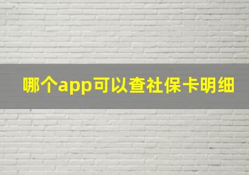 哪个app可以查社保卡明细