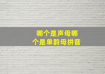 哪个是声母哪个是单韵母拼音