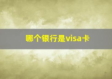 哪个银行是visa卡