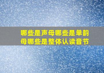 哪些是声母哪些是单韵母哪些是整体认读音节