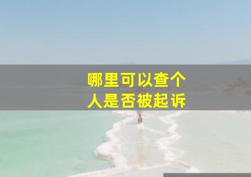 哪里可以查个人是否被起诉