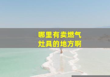 哪里有卖燃气灶具的地方啊