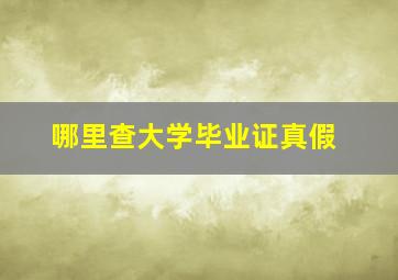 哪里查大学毕业证真假