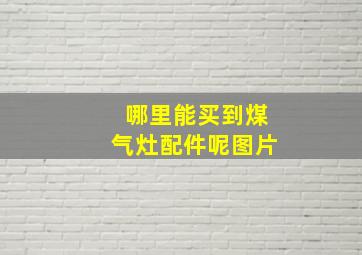 哪里能买到煤气灶配件呢图片