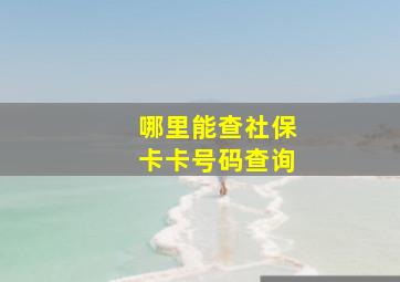 哪里能查社保卡卡号码查询