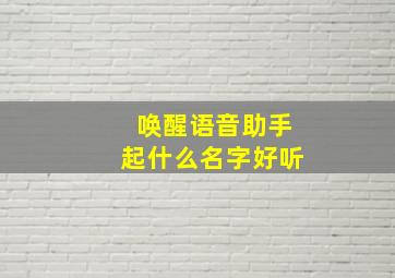 唤醒语音助手起什么名字好听