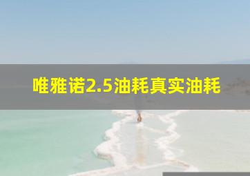 唯雅诺2.5油耗真实油耗