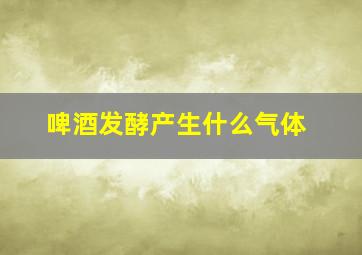 啤酒发酵产生什么气体