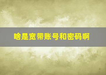 啥是宽带账号和密码啊