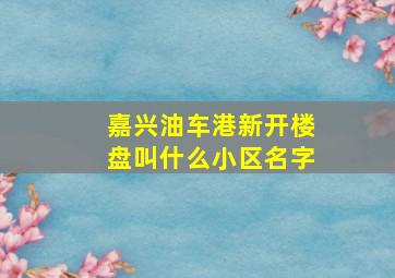 嘉兴油车港新开楼盘叫什么小区名字