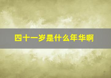 四十一岁是什么年华啊