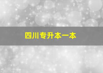 四川专升本一本