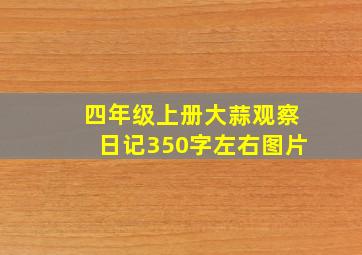 四年级上册大蒜观察日记350字左右图片