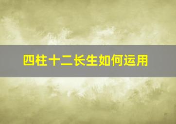 四柱十二长生如何运用