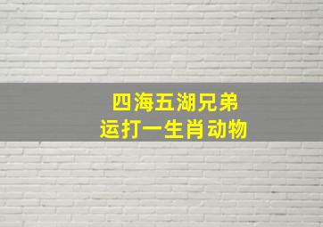 四海五湖兄弟运打一生肖动物