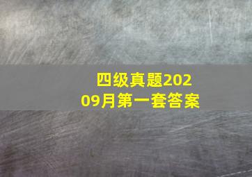 四级真题20209月第一套答案