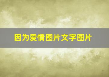 因为爱情图片文字图片