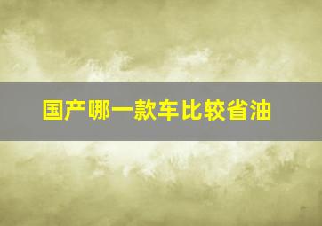 国产哪一款车比较省油