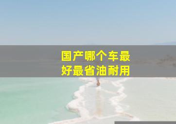 国产哪个车最好最省油耐用