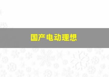 国产电动理想