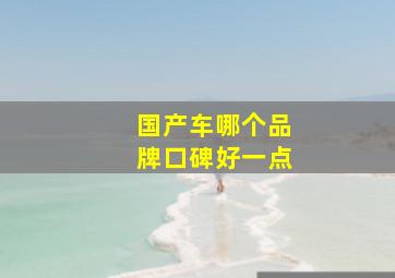 国产车哪个品牌口碑好一点