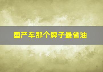 国产车那个牌子最省油