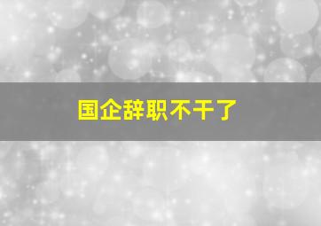 国企辞职不干了