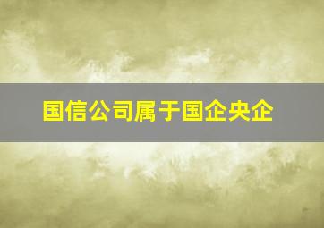 国信公司属于国企央企