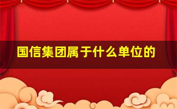 国信集团属于什么单位的