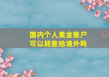 国内个人美金账户可以转账给境外吗