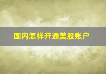 国内怎样开通美股账户