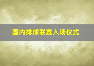 国内排球联赛入场仪式