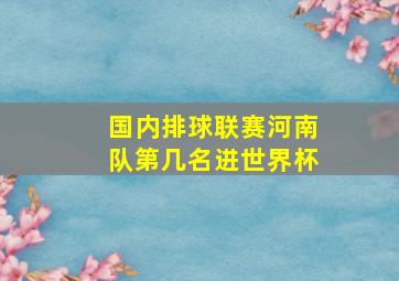 国内排球联赛河南队第几名进世界杯