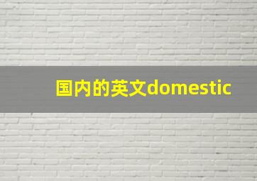 国内的英文domestic