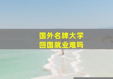 国外名牌大学回国就业难吗