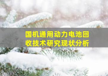 国机通用动力电池回收技术研究现状分析