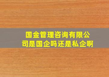 国金管理咨询有限公司是国企吗还是私企啊