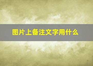 图片上备注文字用什么