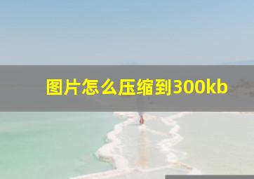 图片怎么压缩到300kb