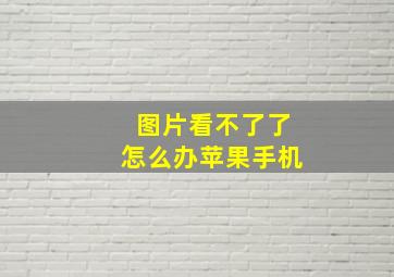 图片看不了了怎么办苹果手机