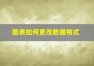 图表如何更改数据格式