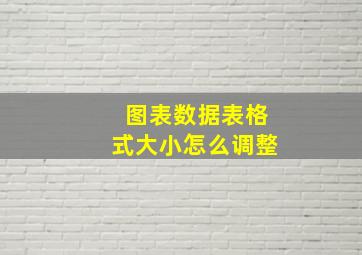 图表数据表格式大小怎么调整