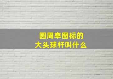 圆周率图标的大头球杆叫什么