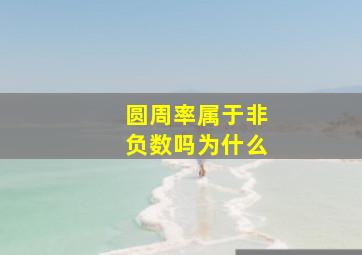 圆周率属于非负数吗为什么