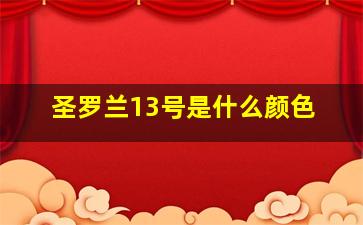 圣罗兰13号是什么颜色