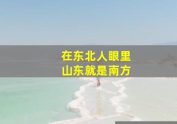 在东北人眼里山东就是南方