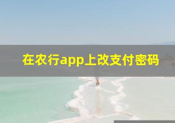 在农行app上改支付密码